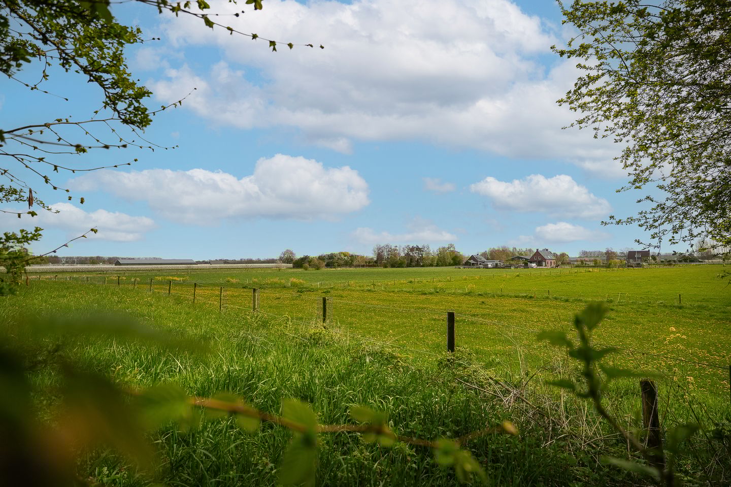 Foto 59 van Waaldijk 53