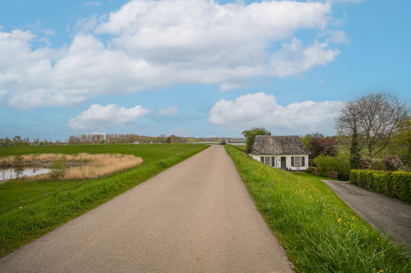 Foto 79 van Waaldijk 53