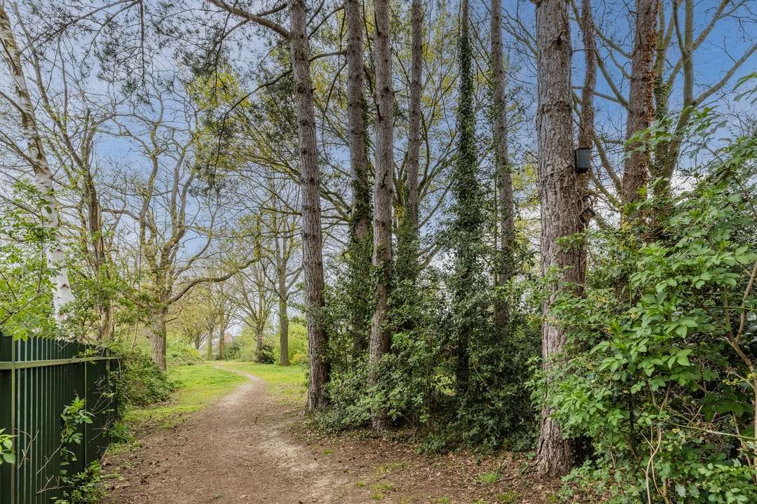 Foto 38 van De Kraan 21