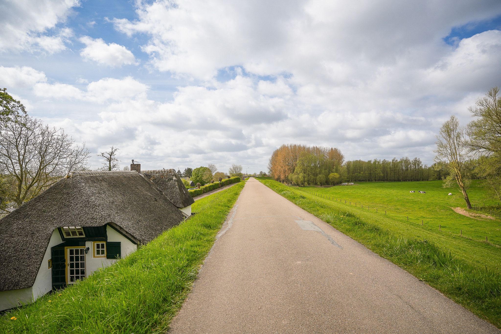 Foto 81 van Waaldijk 53