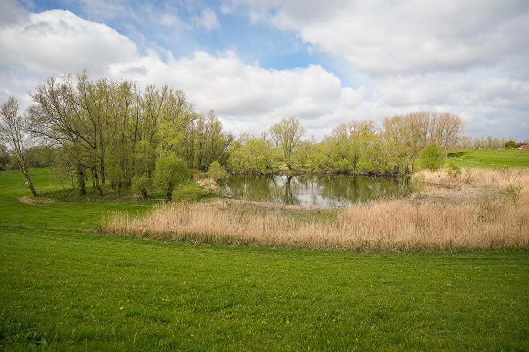 Foto 82 van Waaldijk 53