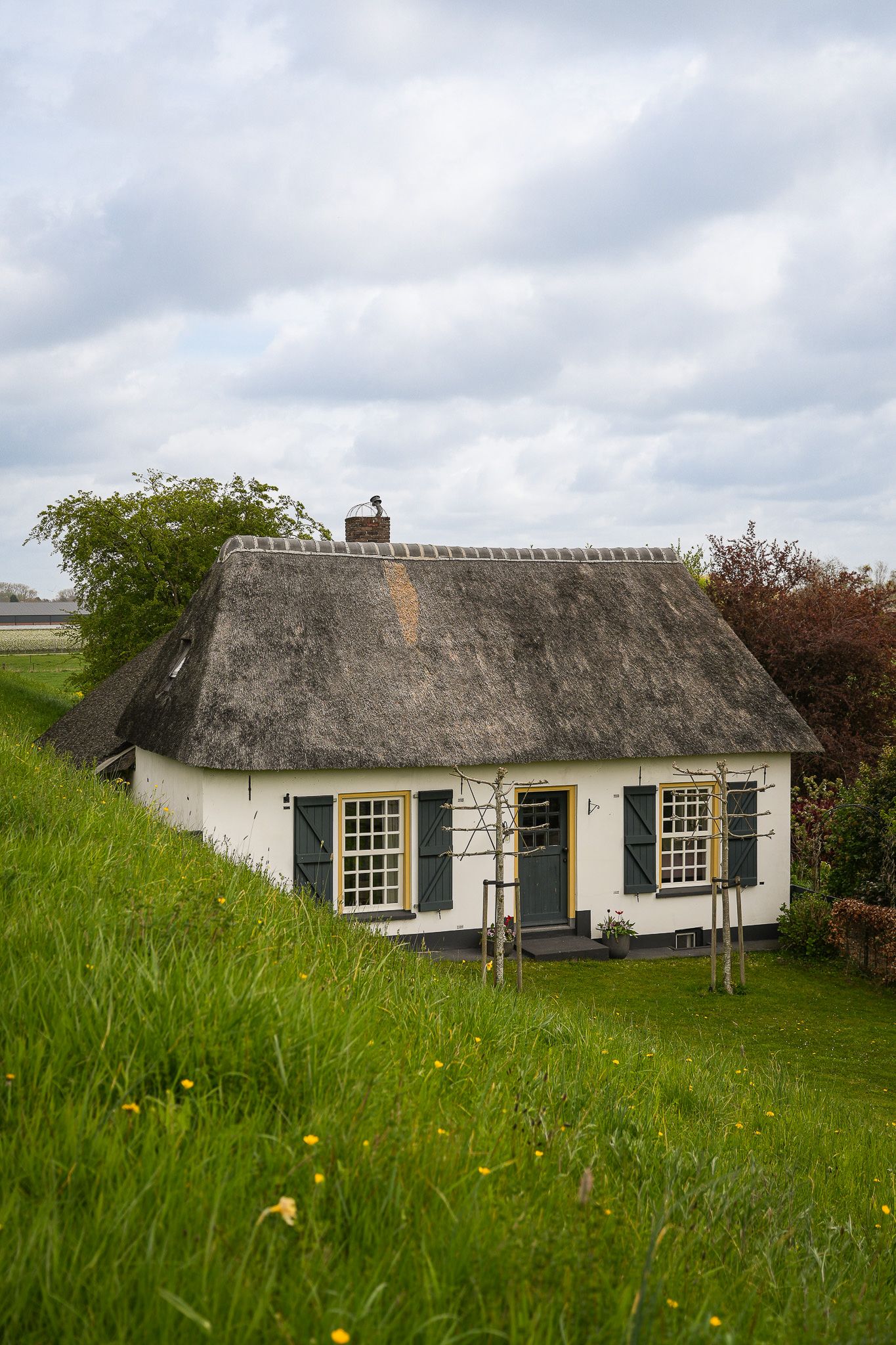 Foto 90 van Waaldijk 53