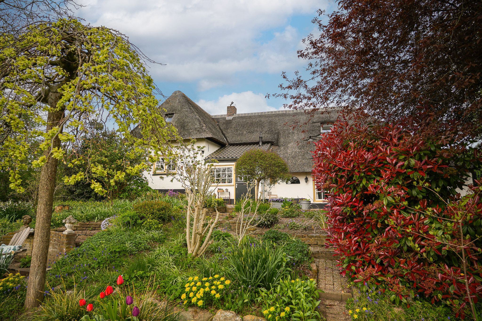 Foto 54 van Waaldijk 53