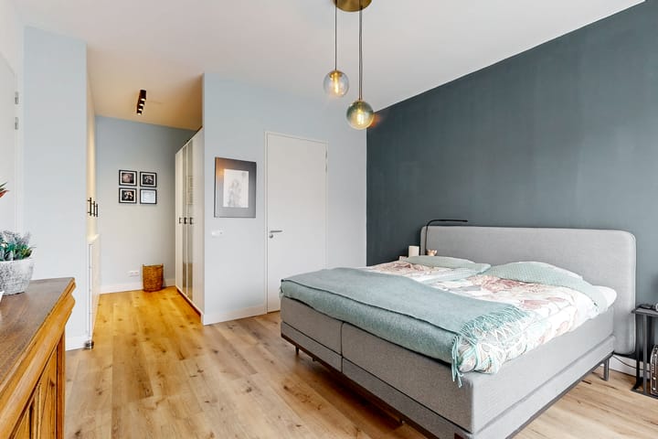 Foto 4 van Anemoon 6