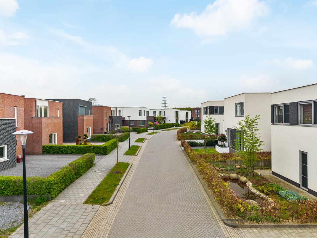 Foto 37 van Anemoon 6