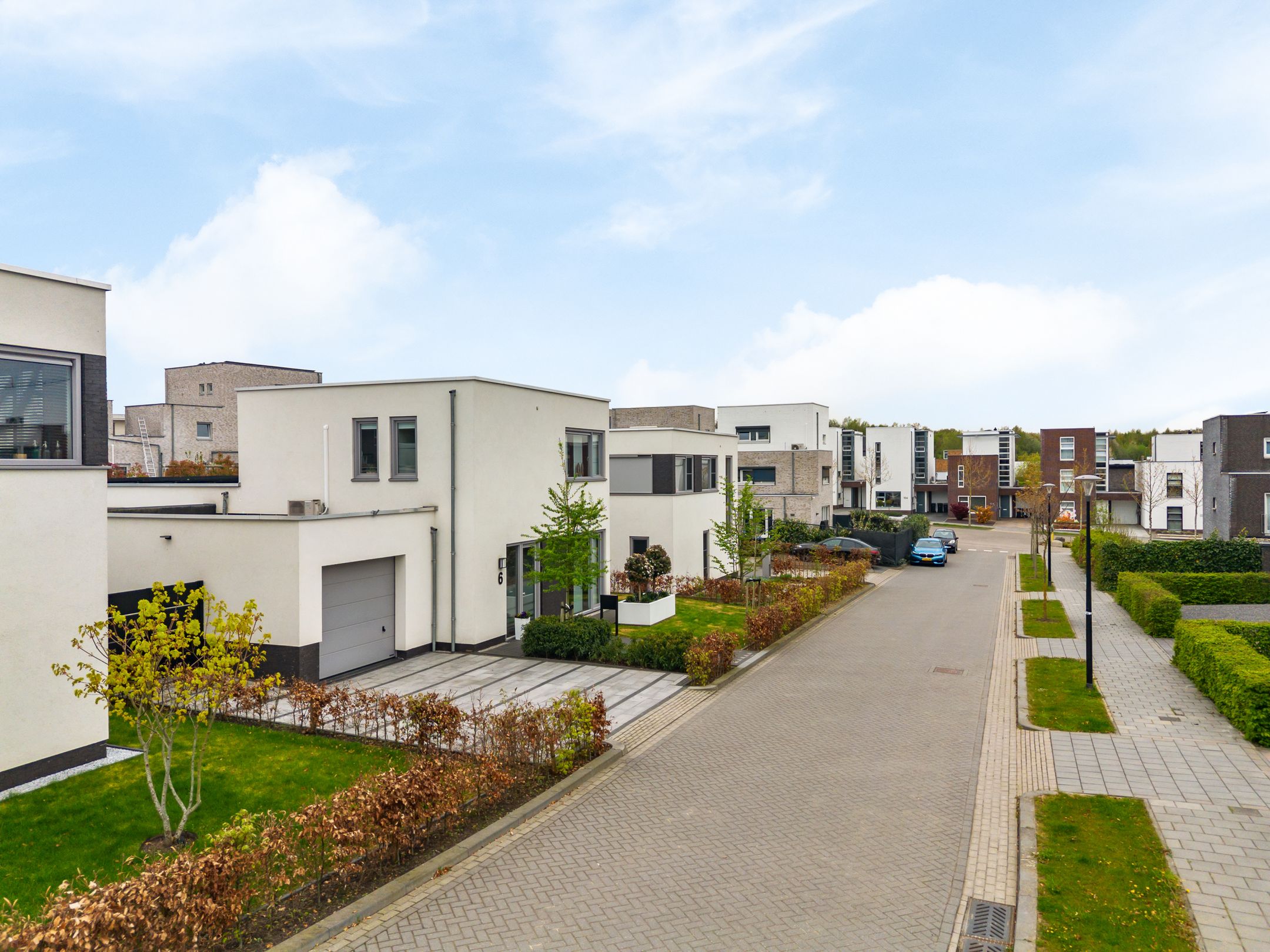 Foto 36 van Anemoon 6