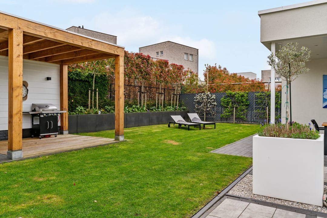 Foto 31 van Anemoon 6