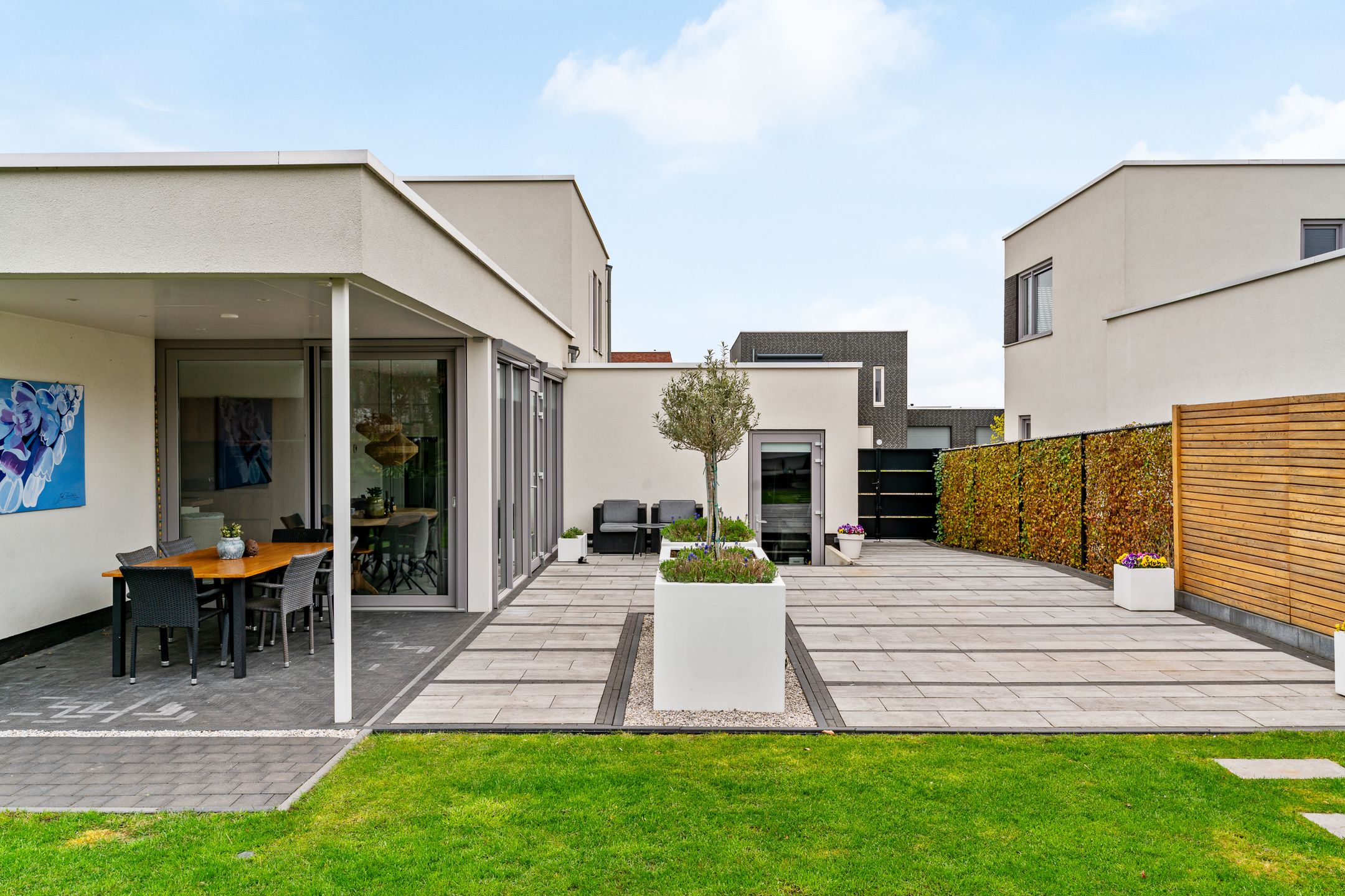 Foto 33 van Anemoon 6