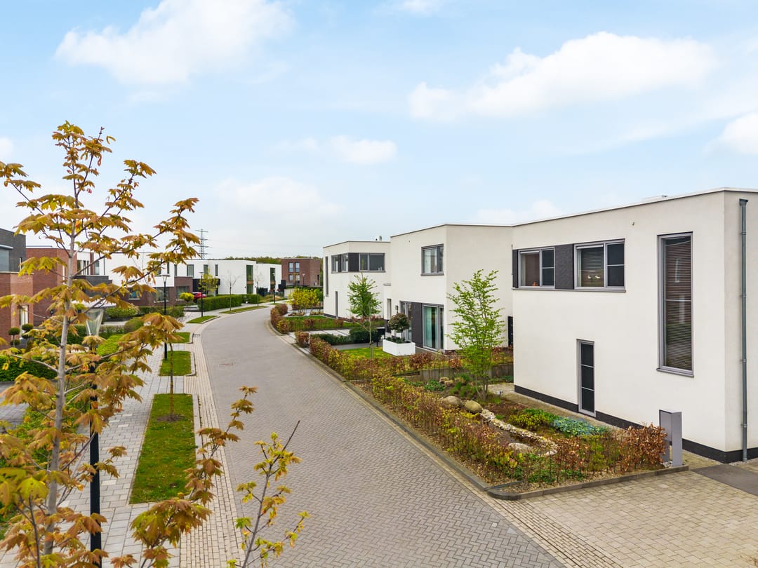 Foto 38 van Anemoon 6