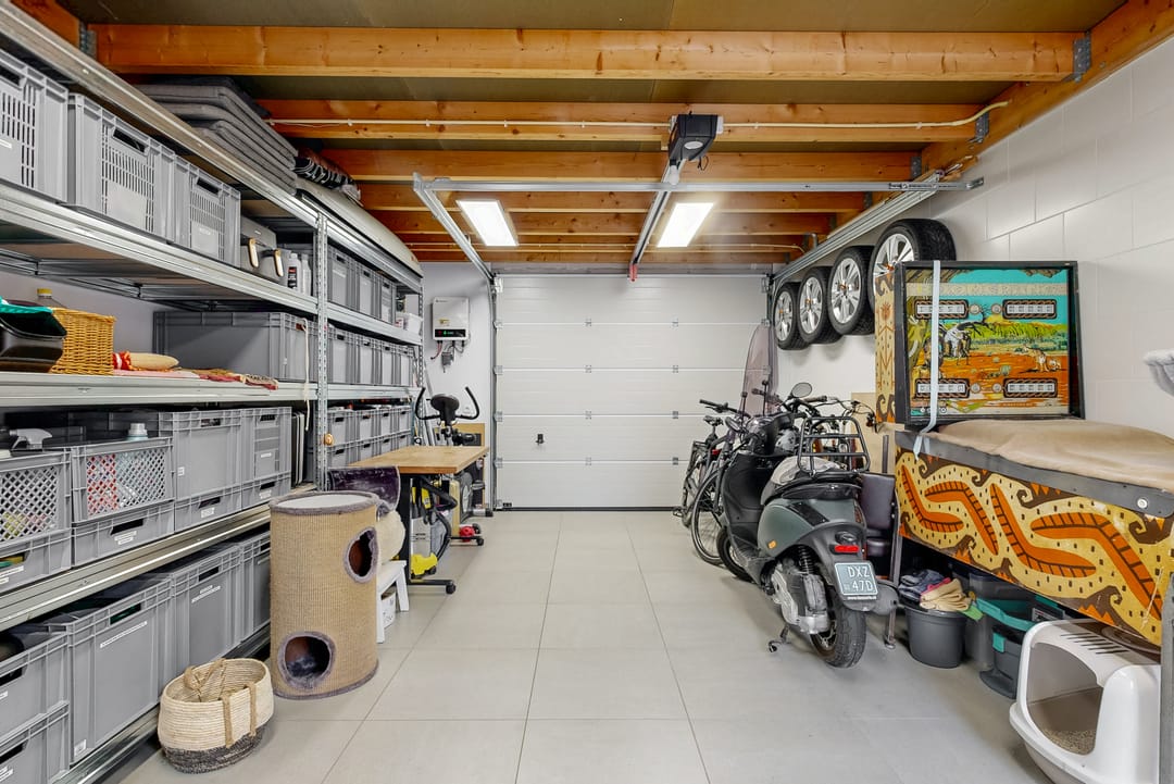 Foto 16 van Anemoon 6