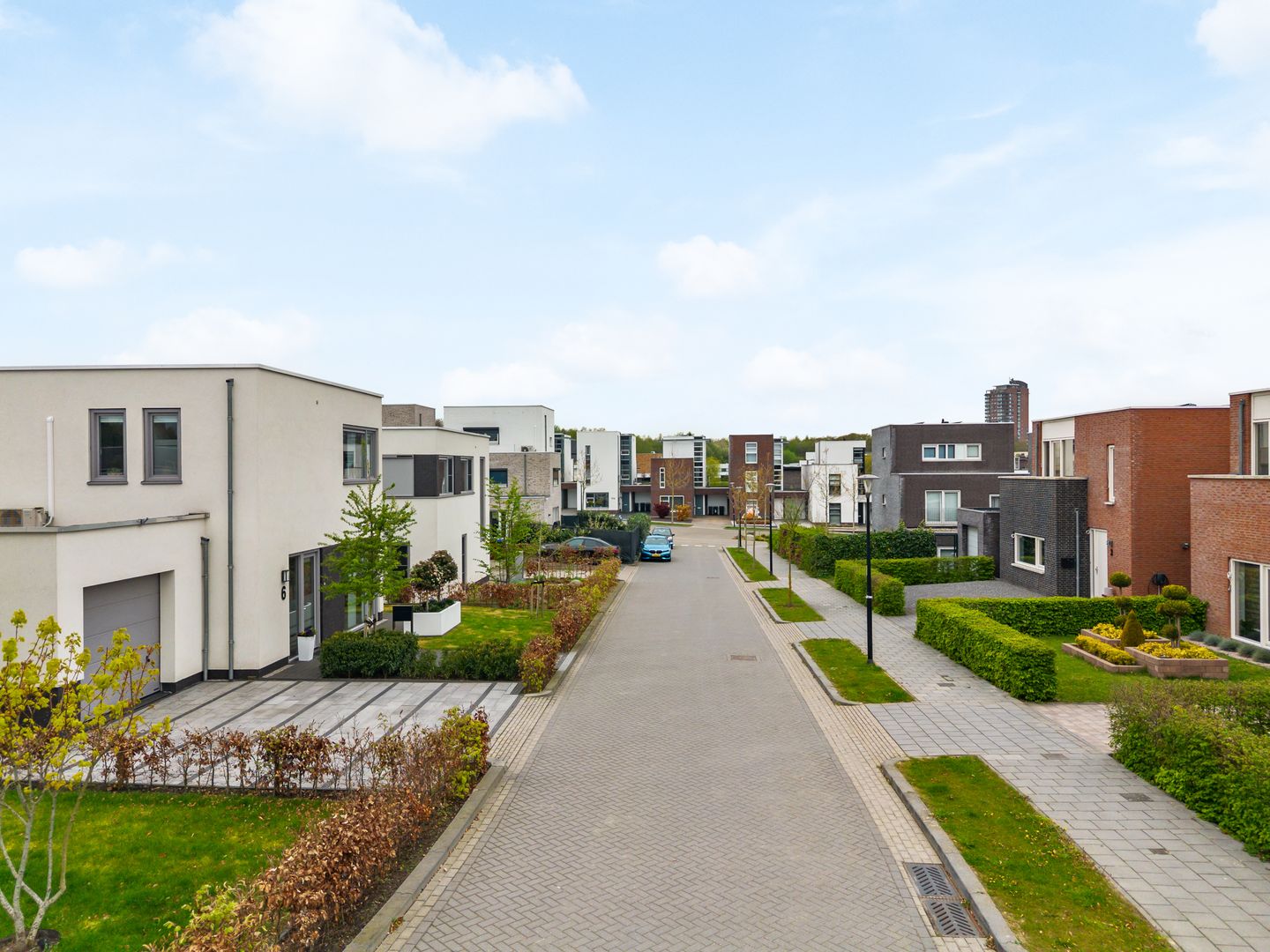 Foto 35 van Anemoon 6