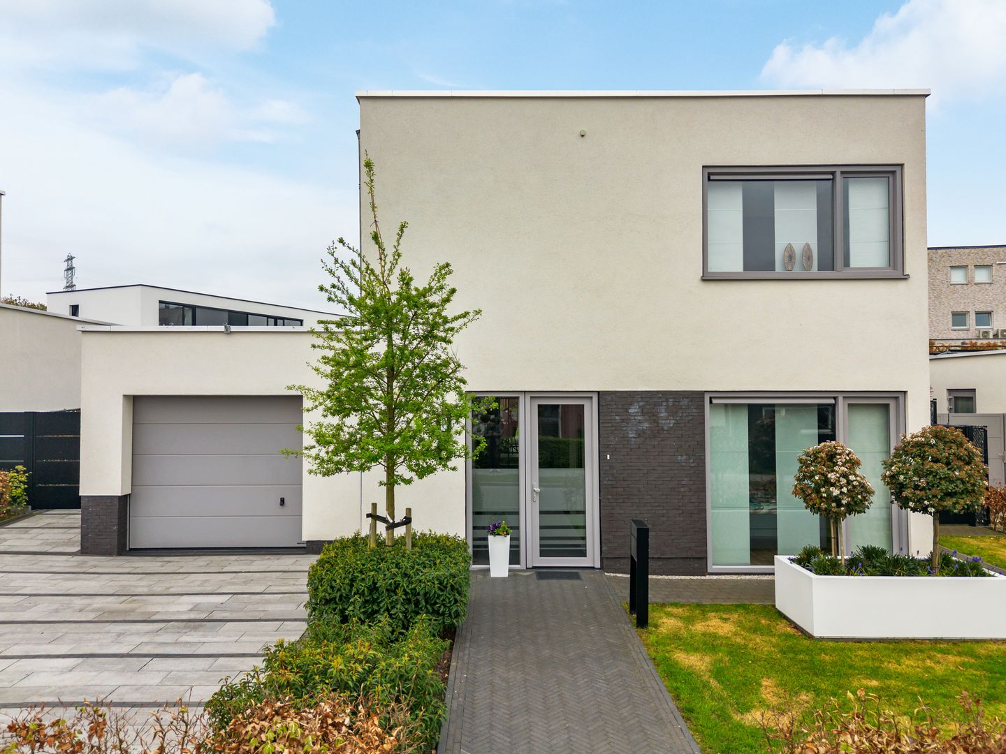 Foto 34 van Anemoon 6