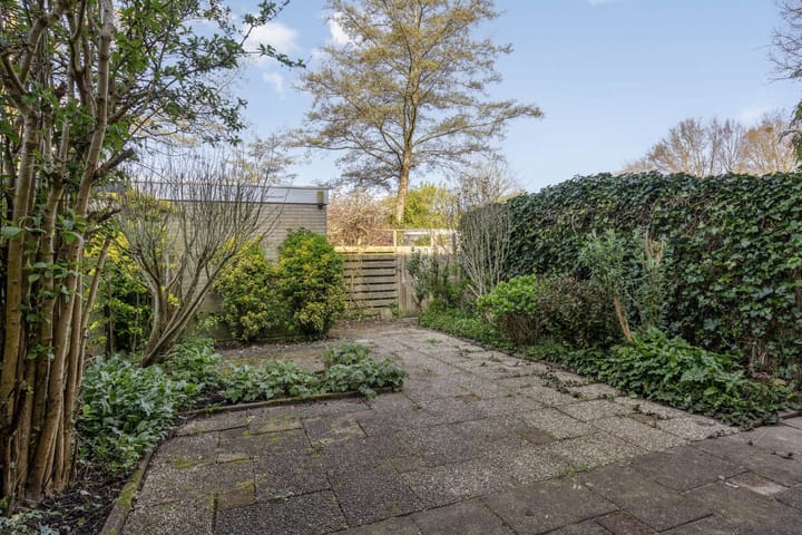 Photo 3 of Wilsonstraat 191