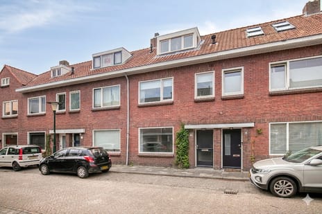 Goudsbloemstraat thumbnail