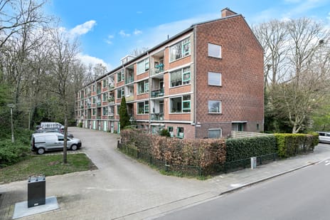 Surinamelaan thumbnail