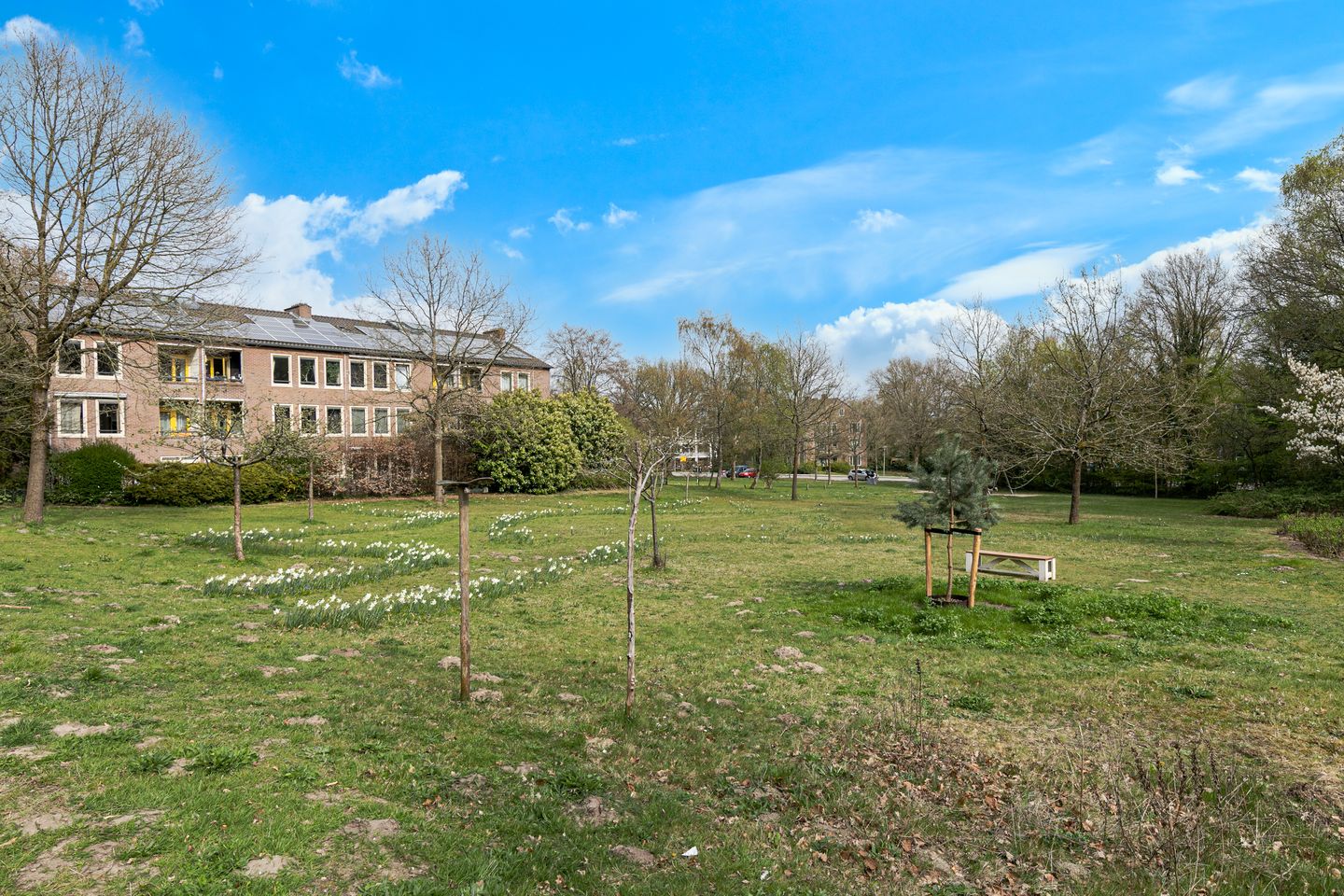 Photo 35 of Surinamelaan 69-A