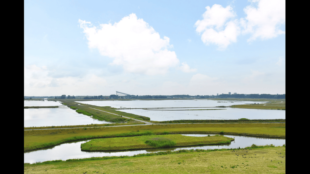 Photo 37 of Dodaarsoever 41