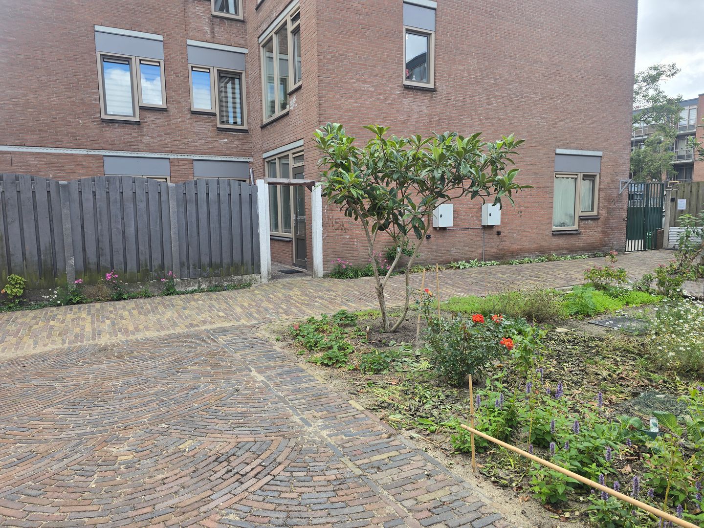 Photo 29 of Jacob Catsstraat 40