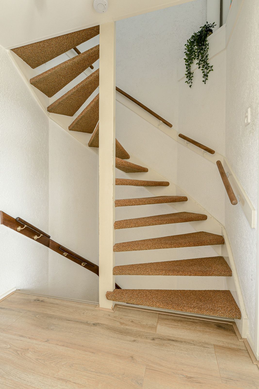 Foto 31 van Brasschaatstraat 41