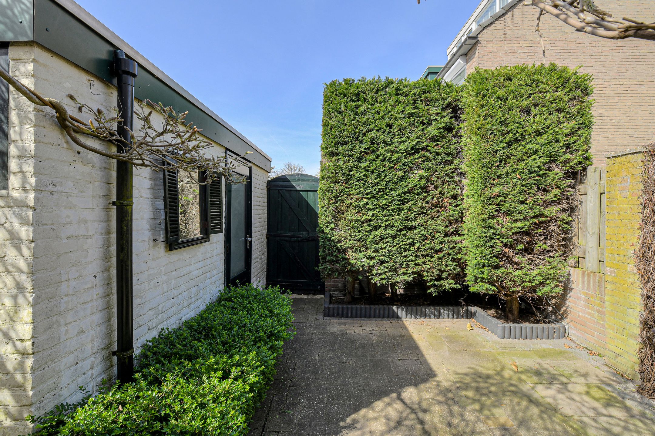 Foto 39 van Brasschaatstraat 41