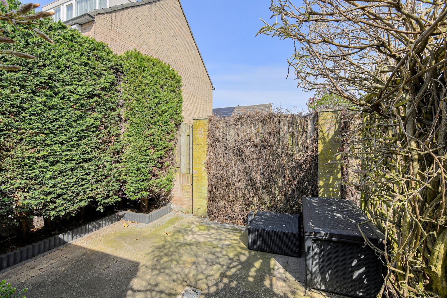 Foto 40 van Brasschaatstraat 41