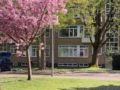 Statensingel thumbnail