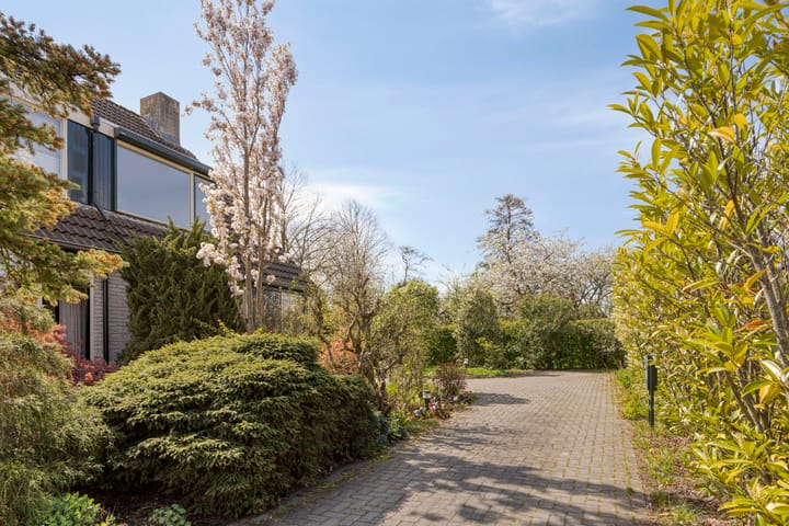 Foto 2 van Pijlkruid 14-A