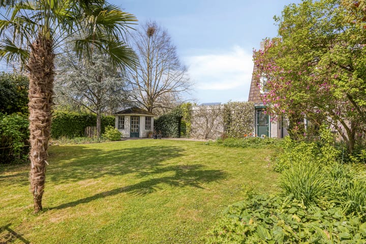 Foto 4 van Pijlkruid 14-A