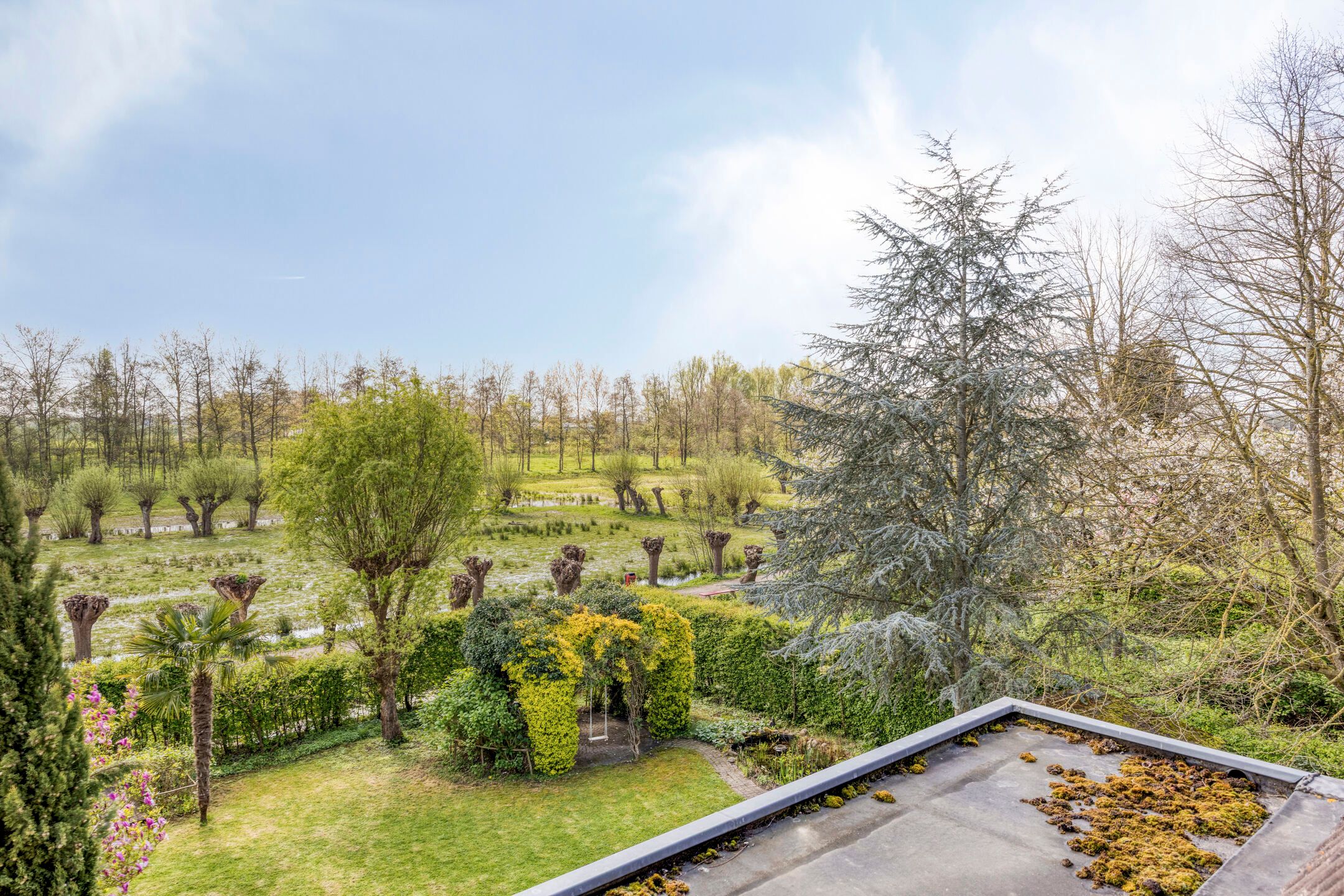 Foto 27 van Pijlkruid 14-A