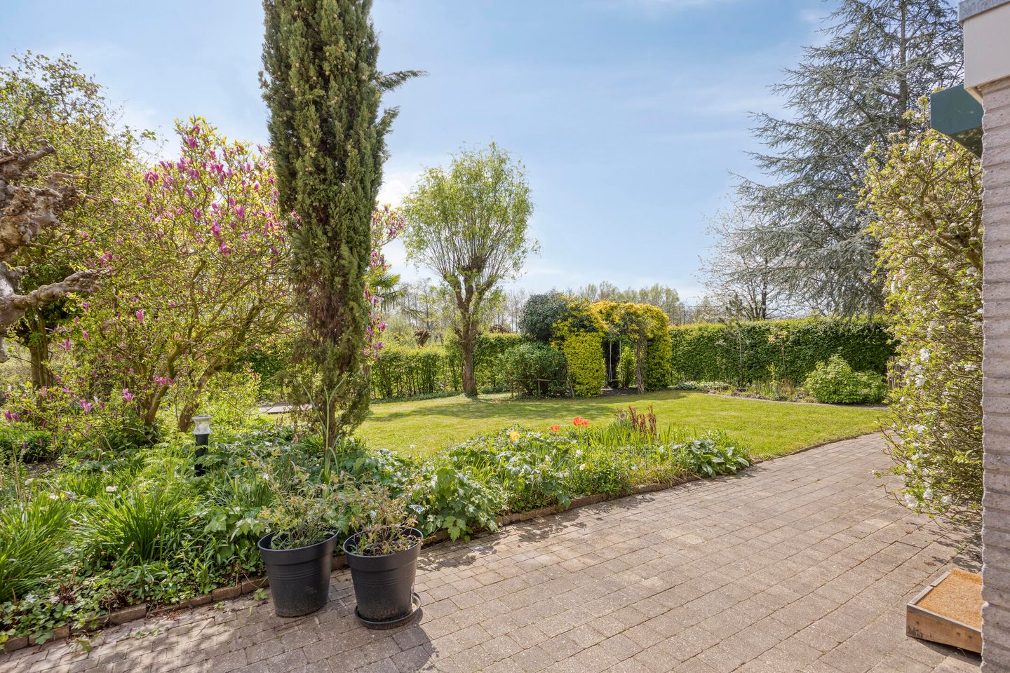 Foto 29 van Pijlkruid 14-A