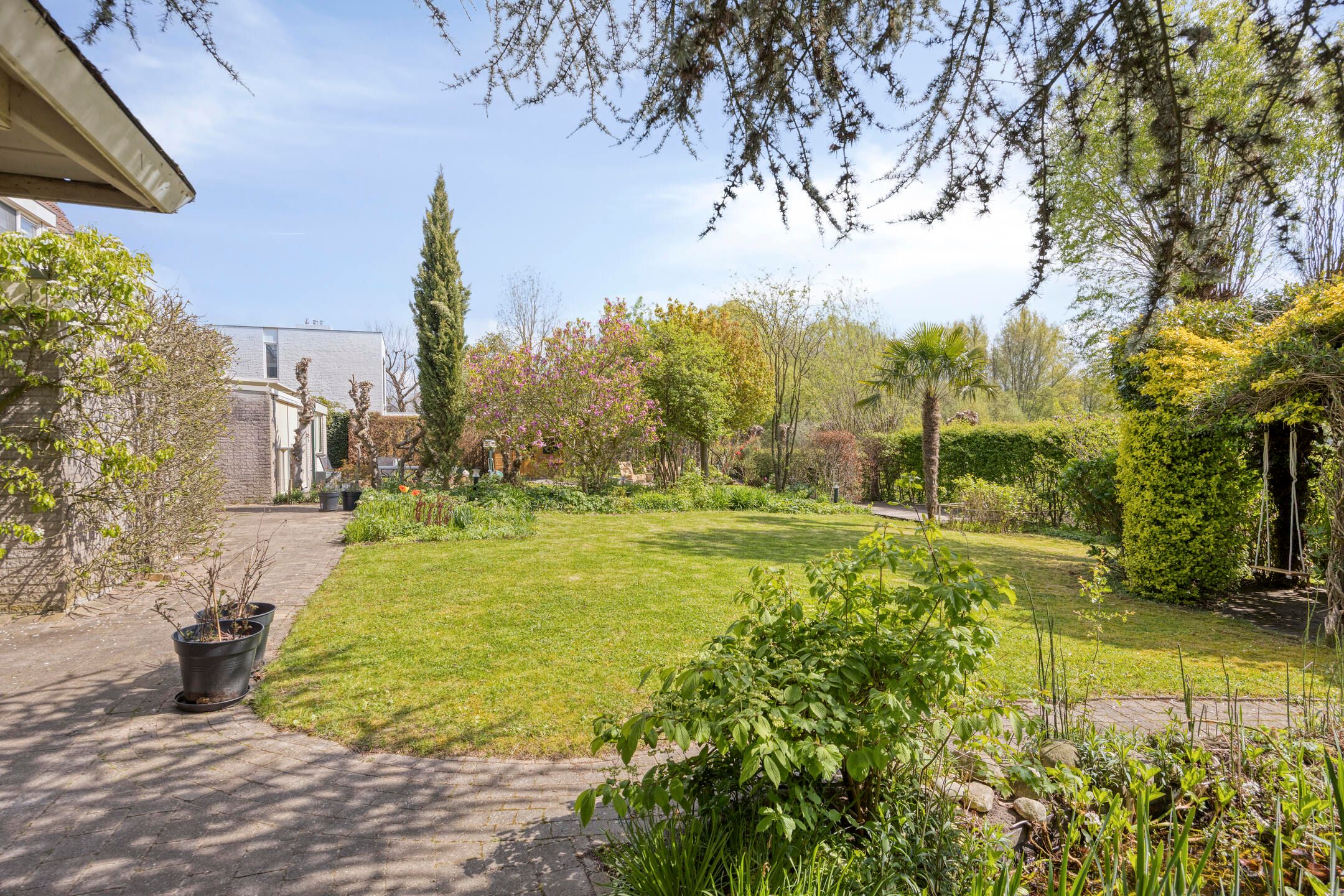 Foto 30 van Pijlkruid 14-A