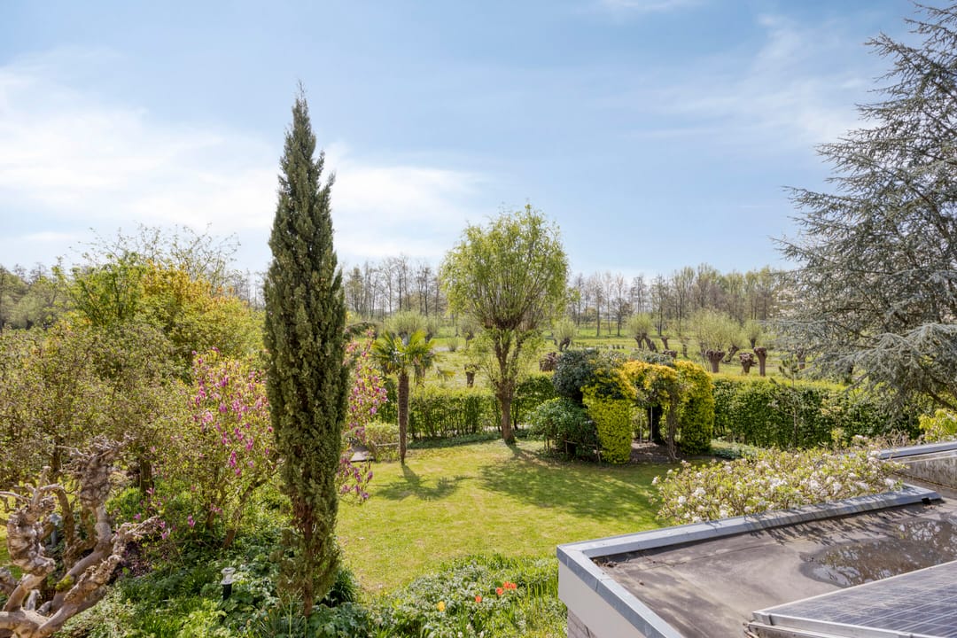 Foto 28 van Pijlkruid 14-A