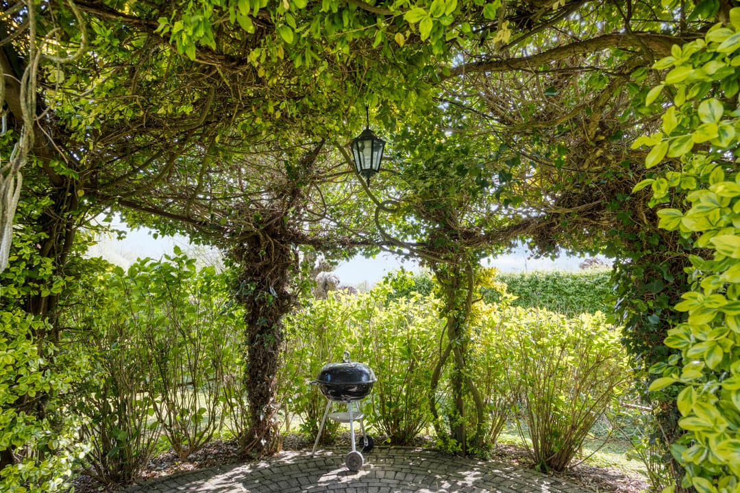 Foto 31 van Pijlkruid 14-A