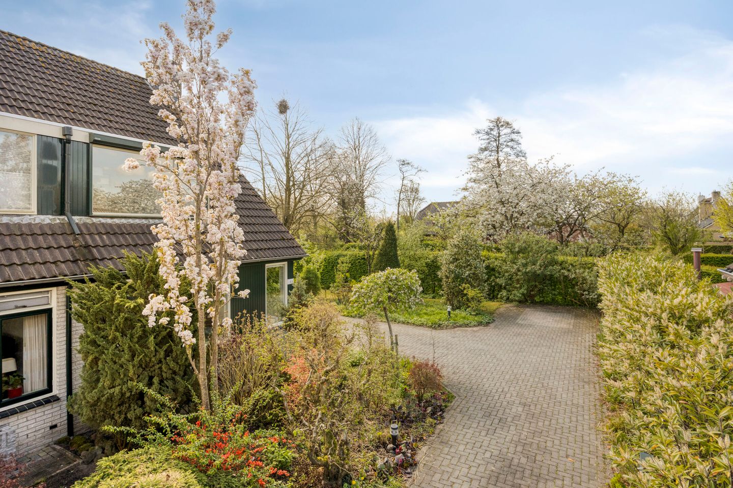 Foto 35 van Pijlkruid 14-A