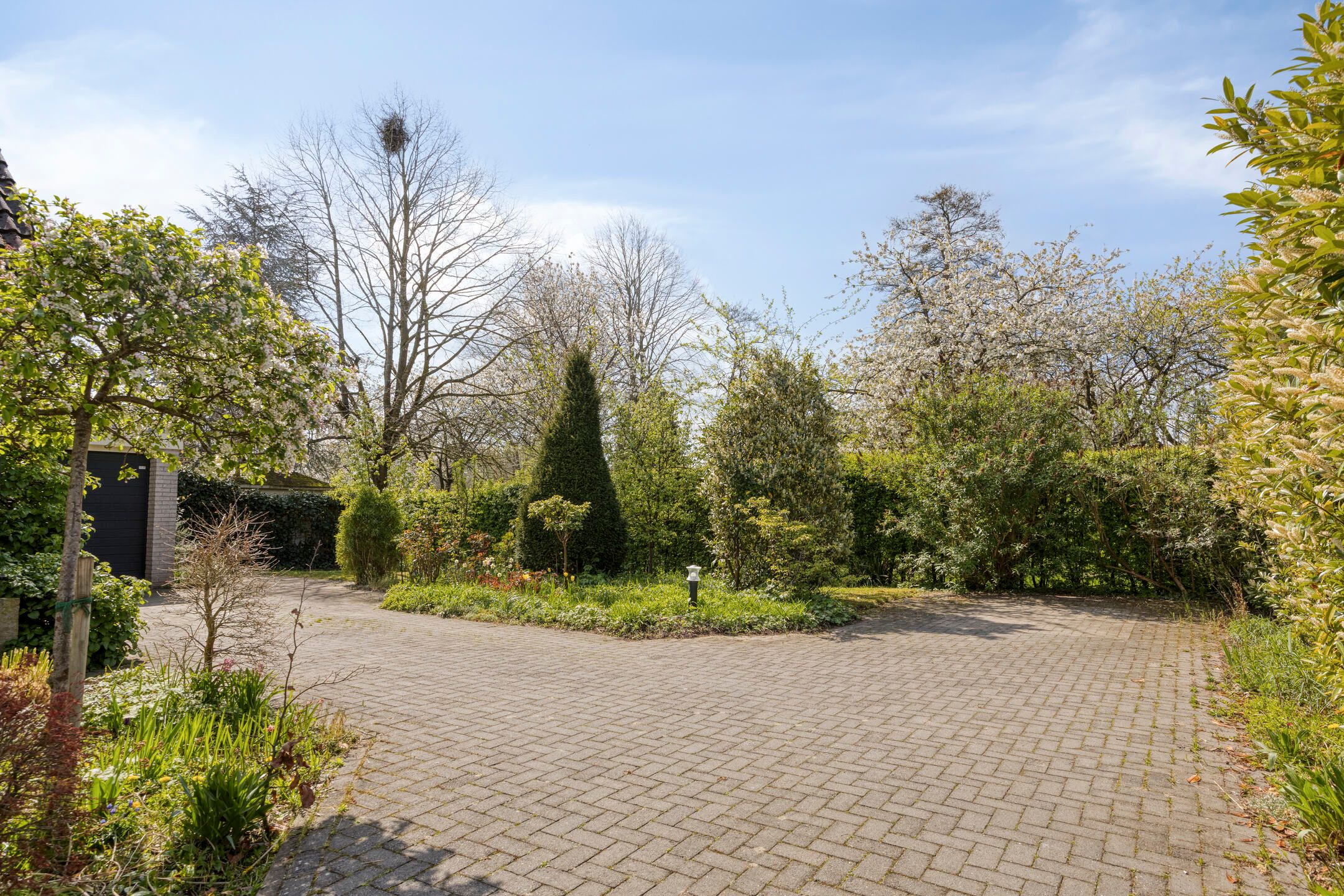 Foto 36 van Pijlkruid 14-A