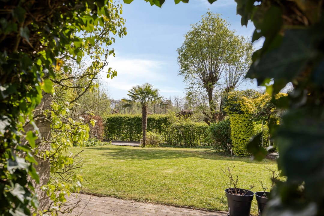 Foto 32 van Pijlkruid 14-A