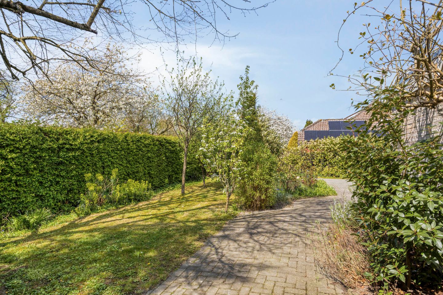 Foto 34 van Pijlkruid 14-A