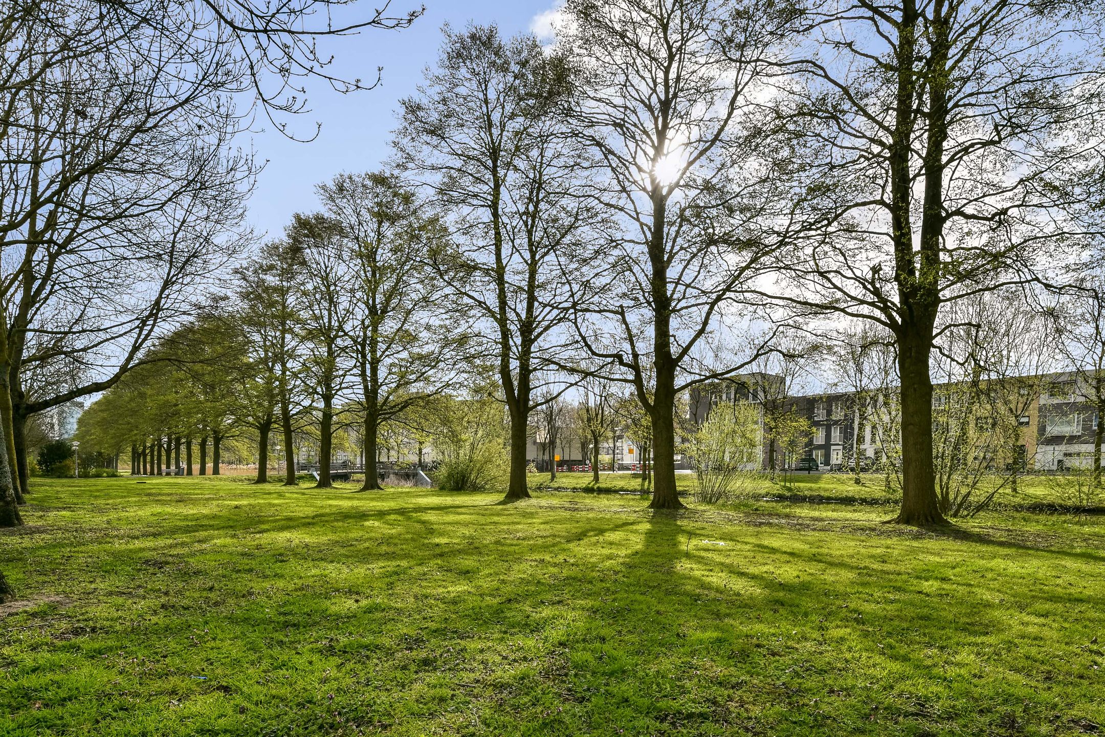 Foto 18 van Dickenslaan 176