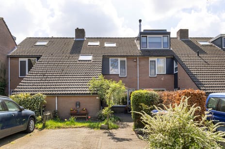 Graspieper thumbnail