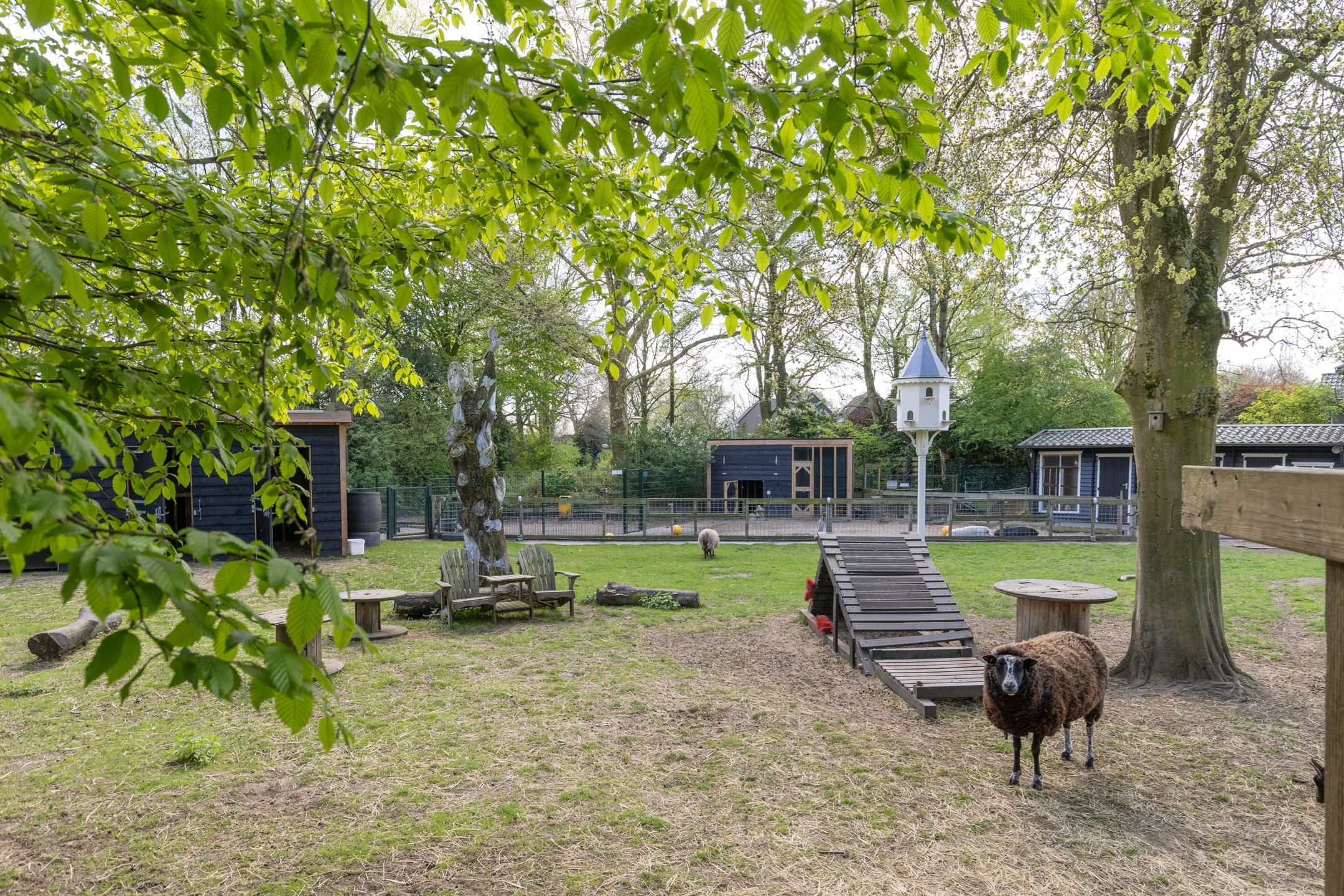 Foto 45 van Graspieper 13