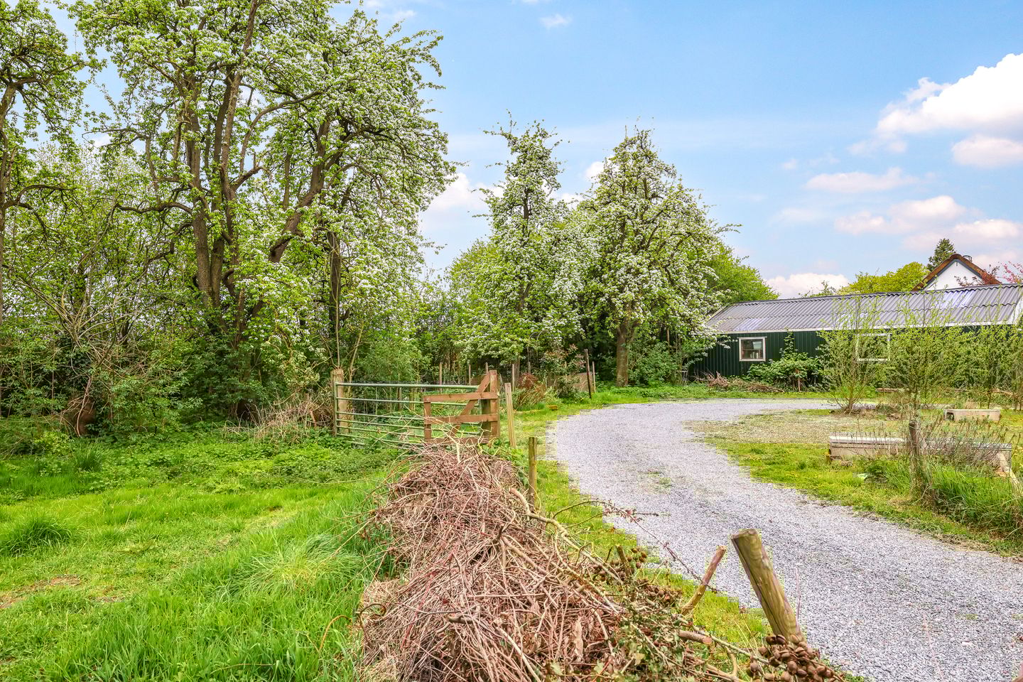 Foto 79 van Rijndijk 59