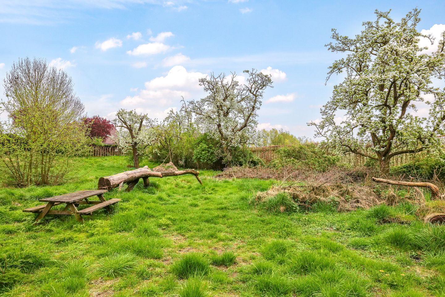 Foto 74 van Rijndijk 59