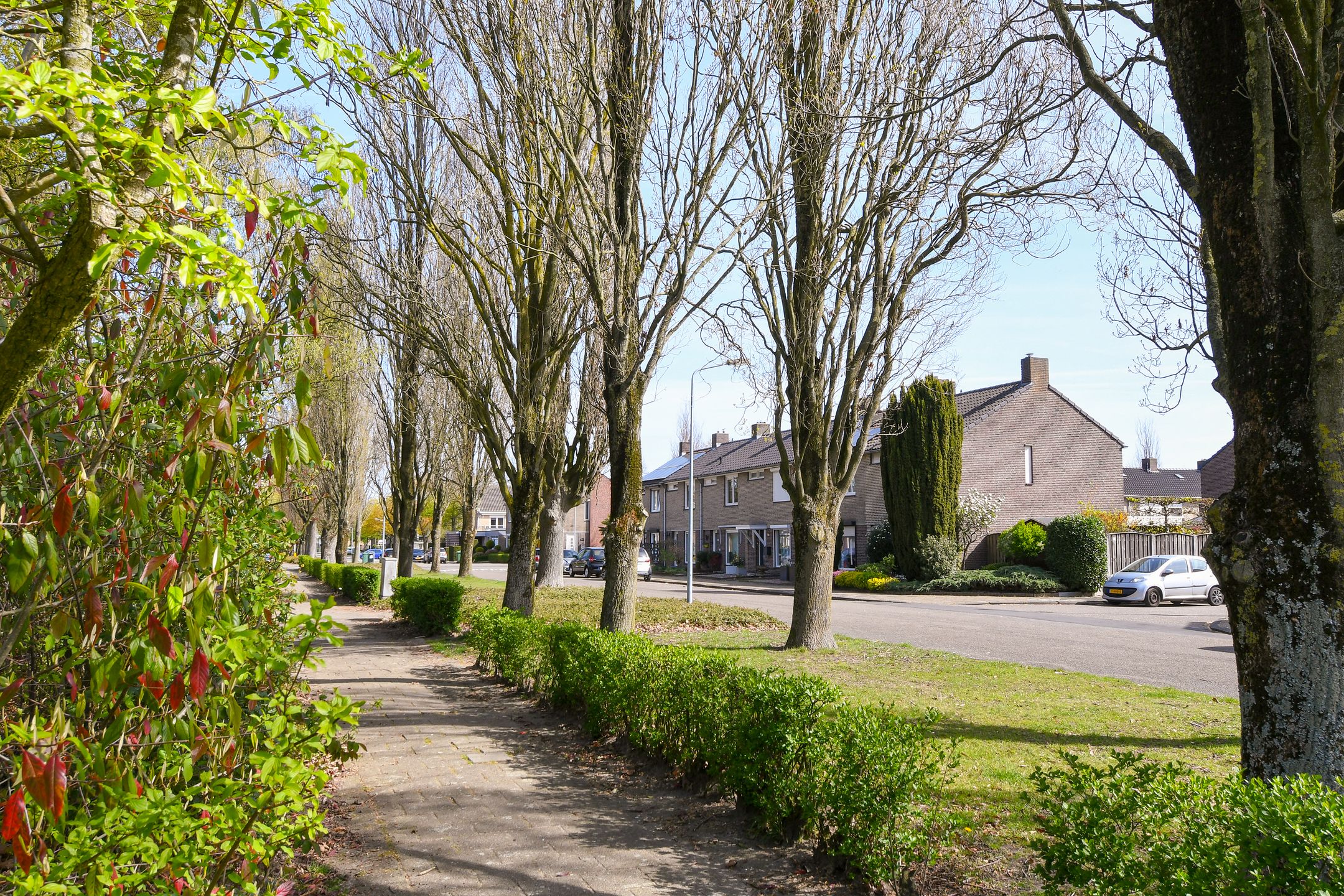 Foto 6 van Groenewoudlaan 22