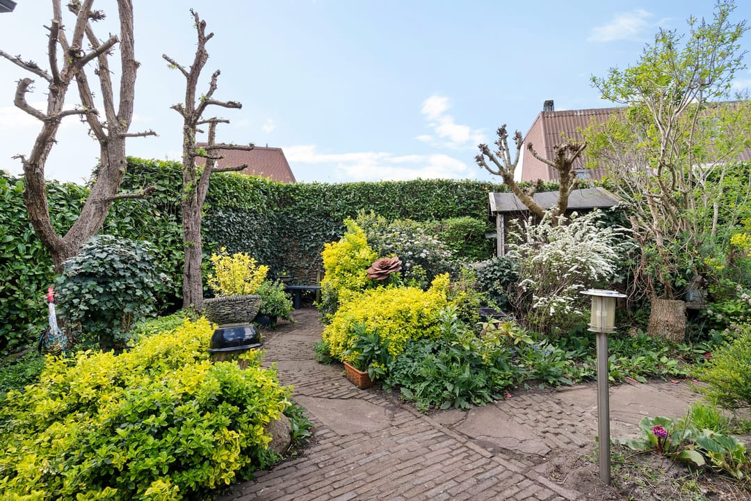 Foto 61 van Overgouw 103