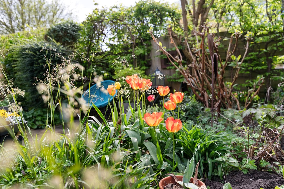 Foto 53 van Overgouw 103