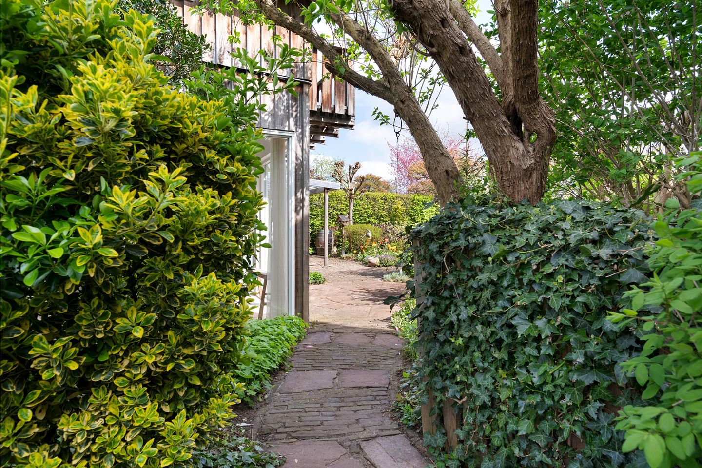 Foto 55 van Overgouw 103