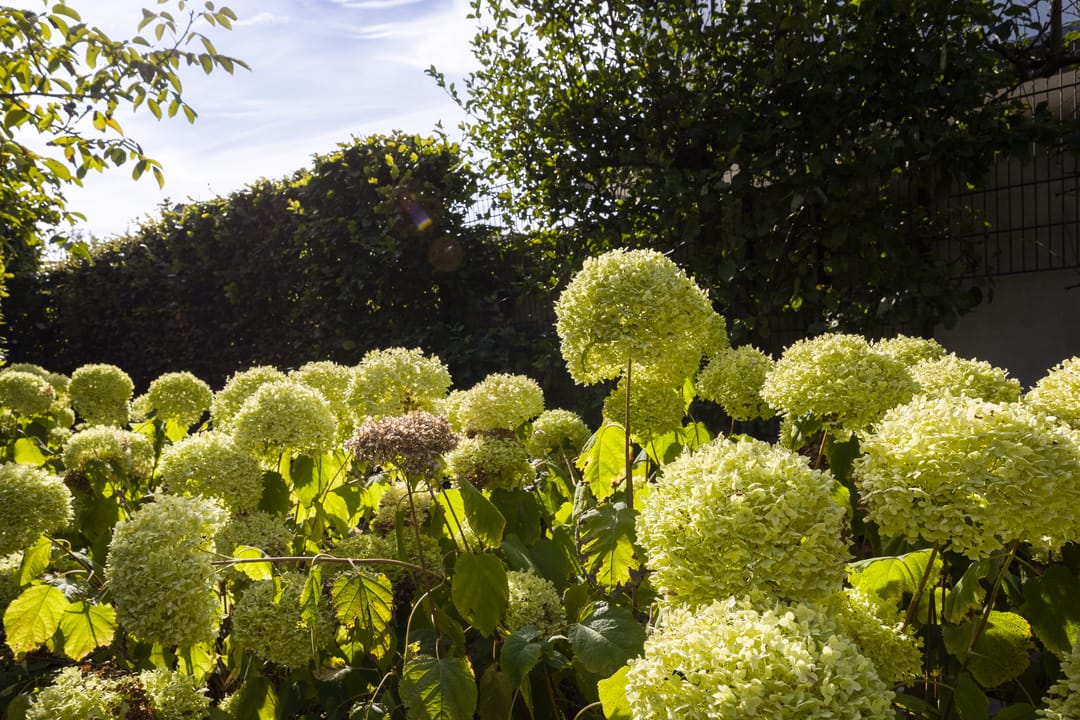 Foto 28 van Geerstraat 2