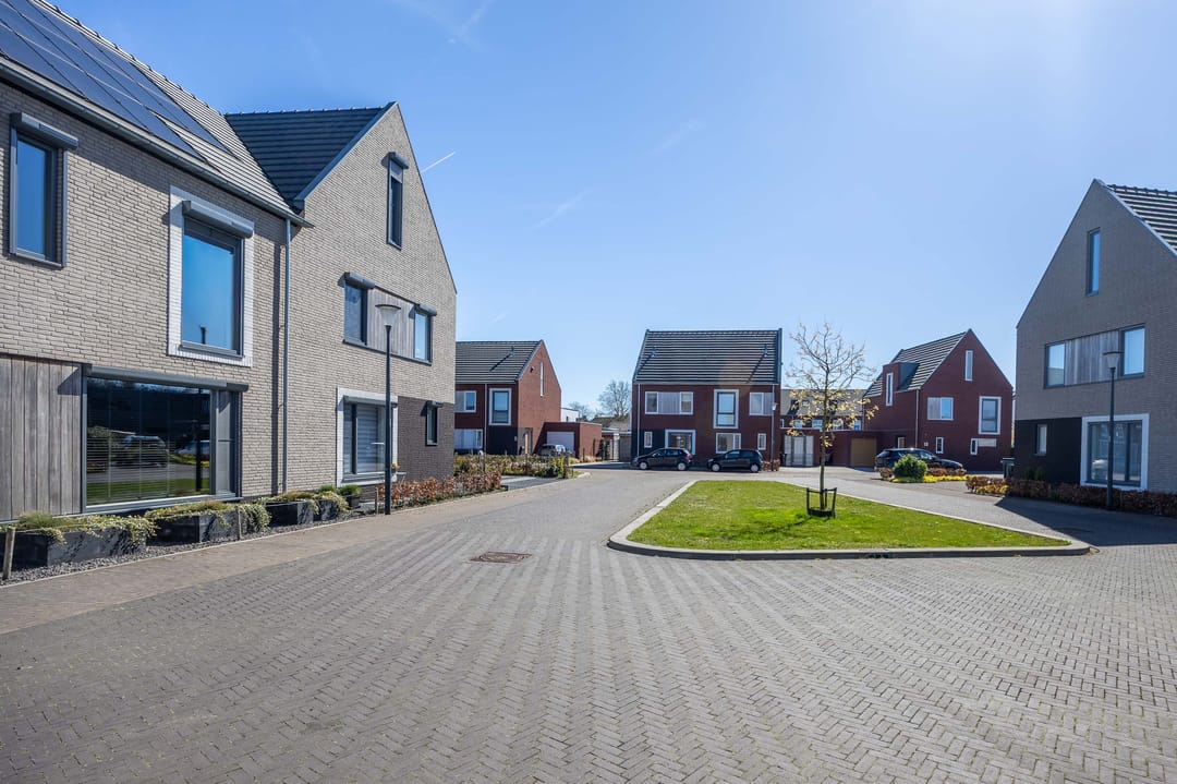 Foto 41 van Patrijs 6