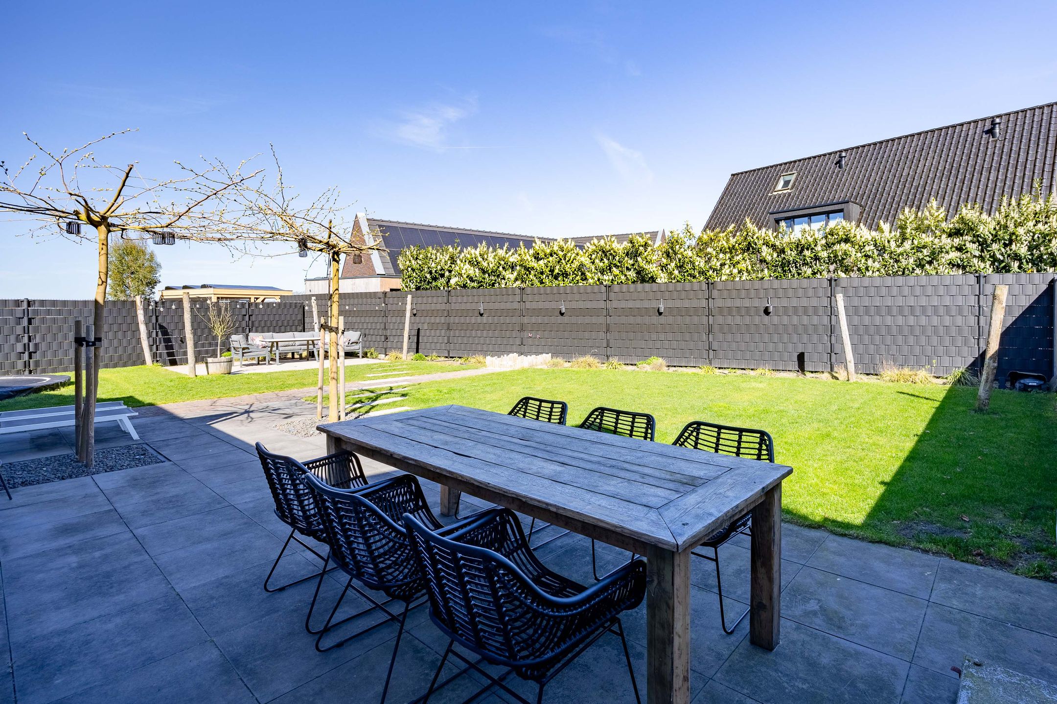 Foto 33 van Patrijs 6