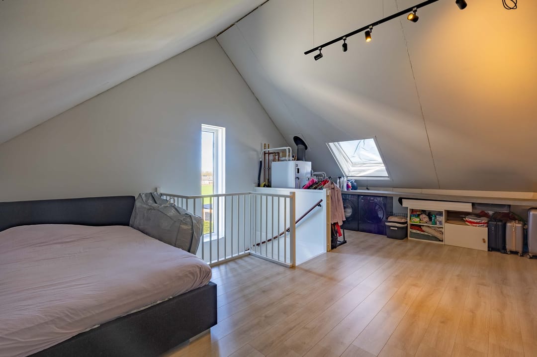 Foto 32 van Patrijs 6